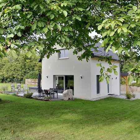 Gite Les Bouleaux Carspach Exteriör bild